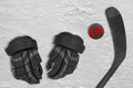 Canadian puck, stick and gloves