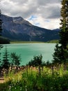 Canadian Rockies Royalty Free Stock Photo