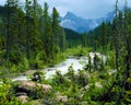 Canadian Rockies Royalty Free Stock Photo