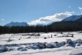 Canadian Rockies, Elbow River, Nature Royalty Free Stock Photo