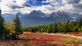 Canadian Rockies, Banff Jasper National Park