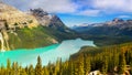 Canadian Rockies Banff Peyto Lake Royalty Free Stock Photo