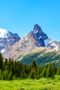 Canadian Rockies at Parker Ridge in Jasper National Park