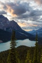 Canadian Rockies and Peyto Lake Royalty Free Stock Photo