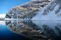 Perfect reflection of Big Beehive mountain with yellow larch trees and fresh snow in calm alpine lake. Royalty Free Stock Photo