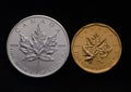 Canadian Silver Maple vs. Canada Gold Maple Leaf