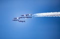 Canadian Snowbirds at Great Pacific Airshow