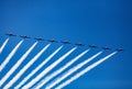 Canadian Snowbirds at Great Pacific Airshow