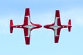 Canadian Snowbirds Show