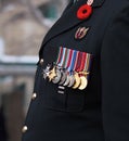 Canadian Soldier At Remembrance Day Ceremony