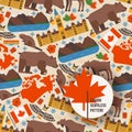 Canadian symbols and main landmarks, vector illustration. Seamless pattern with flat style icons of Canada. Natural Royalty Free Stock Photo