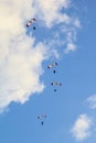 Canadian team performs group jump on the parachutism competition Royalty Free Stock Photo