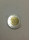 Canadian Toonie $2 bear coin