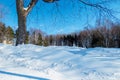 Canadian Winter Snowbank Royalty Free Stock Photo