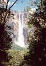 Canaima National Park - Venezuela: Angel Falls the world`s tallest uninterrupted waterfall. South America Royalty Free Stock Photo