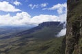 Mount Roraima. Royalty Free Stock Photo