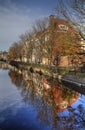 Canal with autumn trees in The Hague, Holland Royalty Free Stock Photo