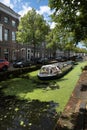 Canal boat sails through the duckweed covered water in Delft, the Netherlands