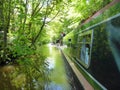 Canal narrowboats passing under trees