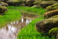 Canal Japanese green Kanazawa garden , green grass in small canal, both side of river along with many green moss stones ,the trees Royalty Free Stock Photo