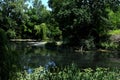 HIDDEN CORNER OF GREAT BACKA CANAL SERBIA