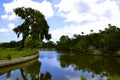Canal with large tree on side. Royalty Free Stock Photo