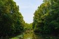 Canal through the mangrove forest in Can Gio, HCMC, Vietnam