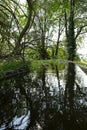 Canal in a park with fluent water