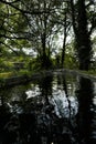 Canal in a park with fluent water