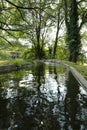 Canal in a park with fluent water