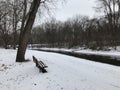 Canal park in the winter