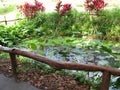 Canal Pool, La Mesa Ecopark, Quezon City, Philippines