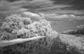 Canal Seamed With Trees, Infrared