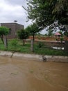 This canal is situated in a village of district hafizabad named panj pulla picture was taken by me when I was treveling beside it