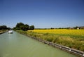 Canal and sunflower fields