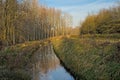 Canal through a sunny winter forest in the Flemish countryside