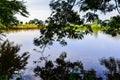 Canal under the tree Royalty Free Stock Photo