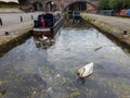 Canal view with a swan in the foreground in Castlefield district, Manchester, UK Royalty Free Stock Photo