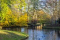 Canals of Amstelveen, autumn time