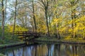 Canals of Amstelveen, autumn time