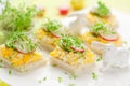 Canape with egg, cucumber, radishes and cress Royalty Free Stock Photo