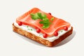 canape with salmon vector flat minimalistic isolated vector style illustration Royalty Free Stock Photo