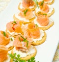 Dish with Canape with Salmon