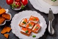 Canape  from  crackers with soft  cheese stracchino Royalty Free Stock Photo