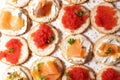 Canape toast with caviar and salmon Royalty Free Stock Photo