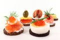 Canapes Royalty Free Stock Photo