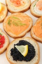 Canapes, buffet food Royalty Free Stock Photo