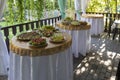 Canapes and light snacks on tables in gazebo