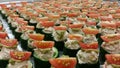 Canapes preparation in the kitchen