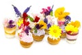Canaps with edible flowers Royalty Free Stock Photo